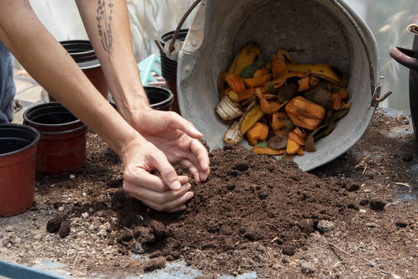 Organic Compost