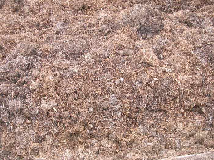 Mushroom Compost