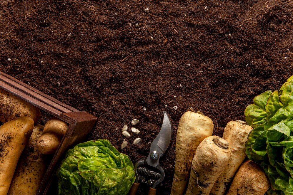 organic mulch organic mulch